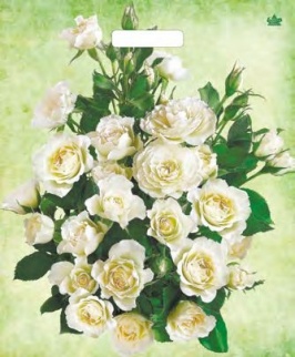   Пакет проруб 38х45-60мкм "Белые розы" (1/50х10=500) ТИКО фото 3465